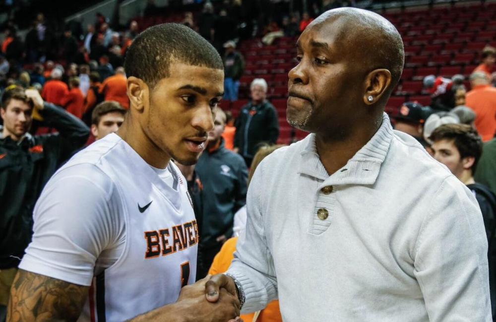 沉着与精确 沉着与精确