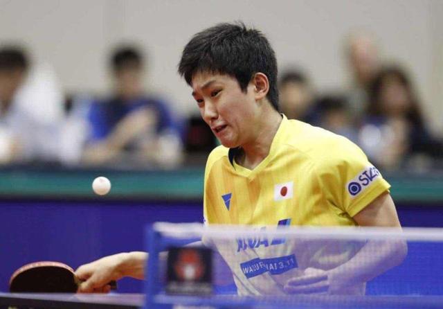 限的认知 限的认知