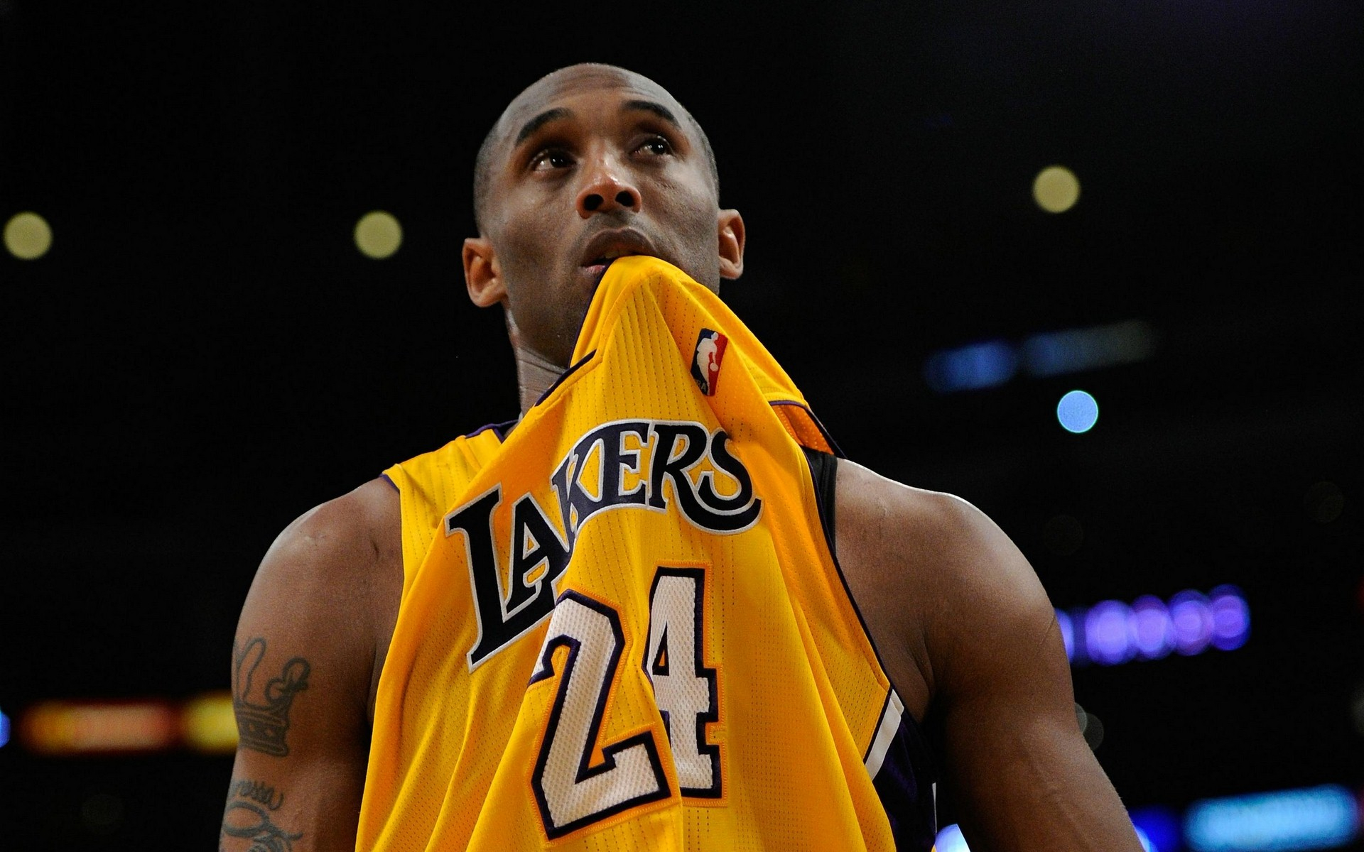 出球神经中 出球神经中